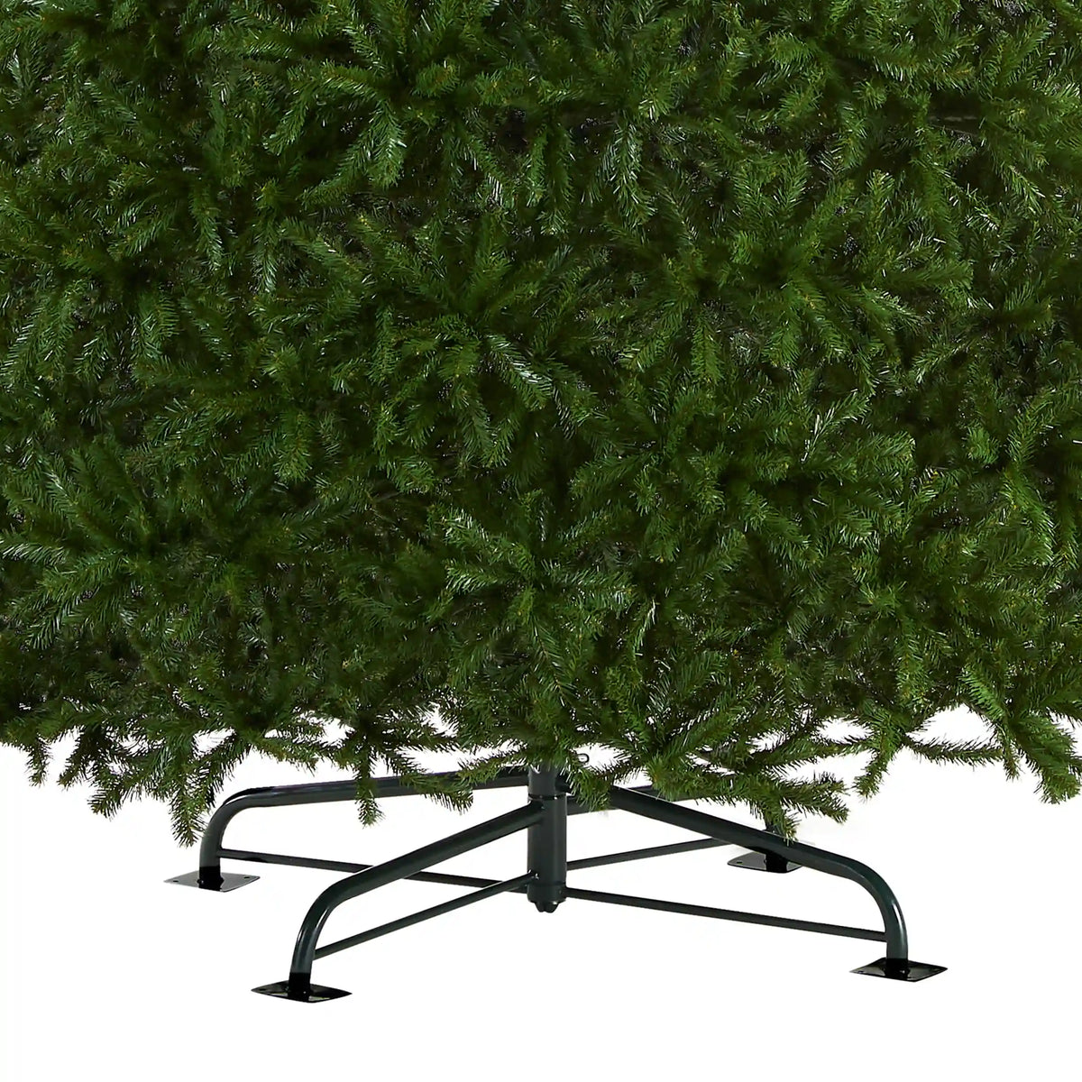 16 ft. North Valley Spruce Tree