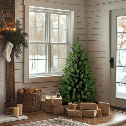 4 ft. North Valley Spruce Tree