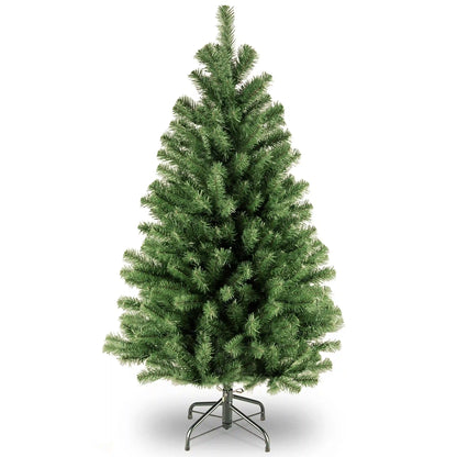4 ft. North Valley Spruce Tree