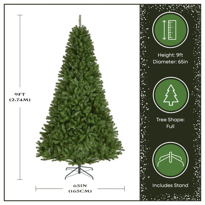 9 ft. North Valley Spruce Tree