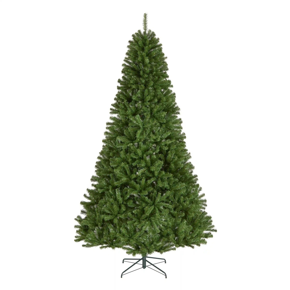9 ft. North Valley Spruce Tree