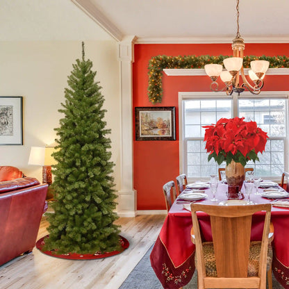 7 ft. North Valley Spruce Pencil Slim Tree