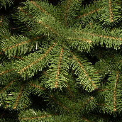 7 ft. North Valley Spruce Pencil Slim Tree