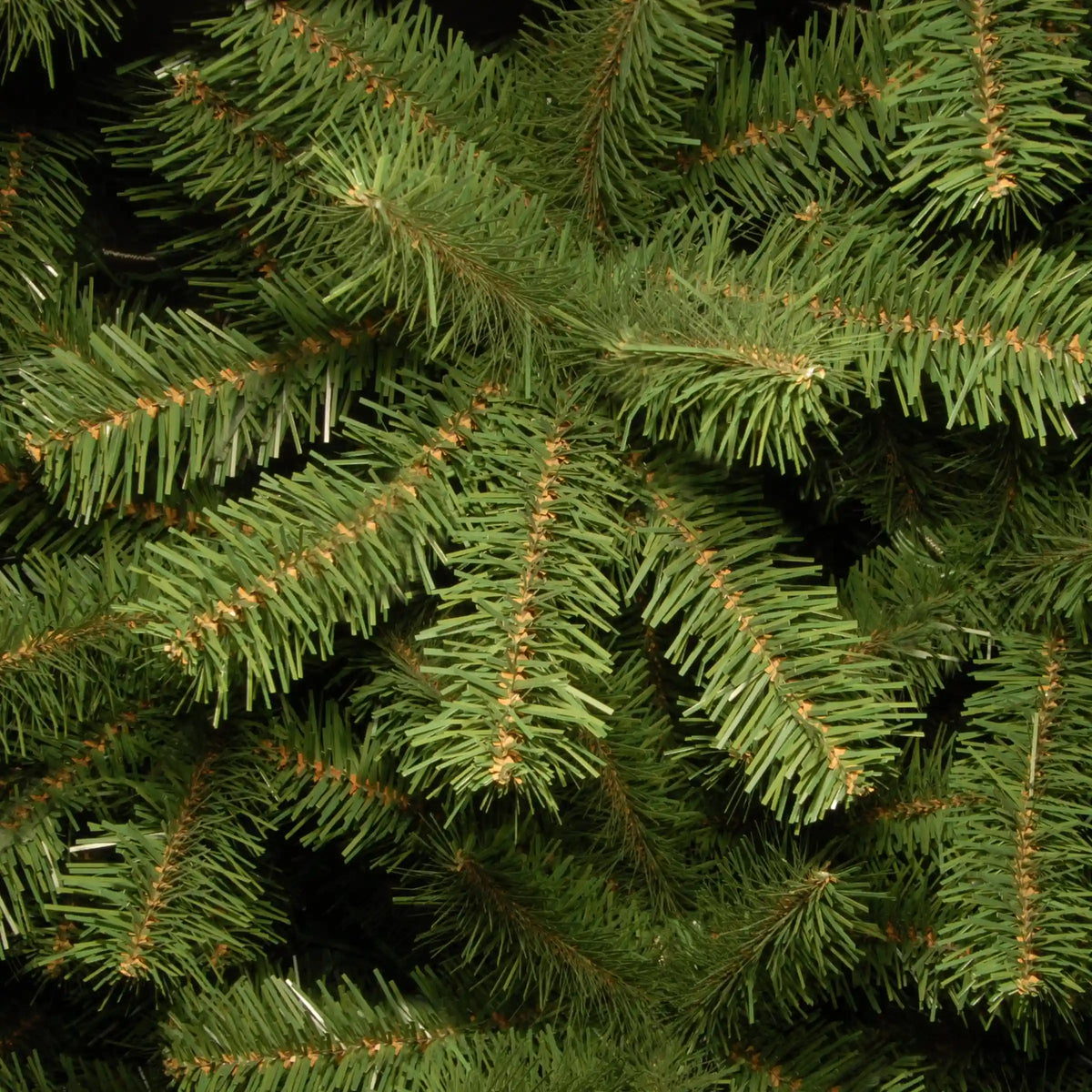 9 ft. North Valley Spruce Pencil Slim Tree