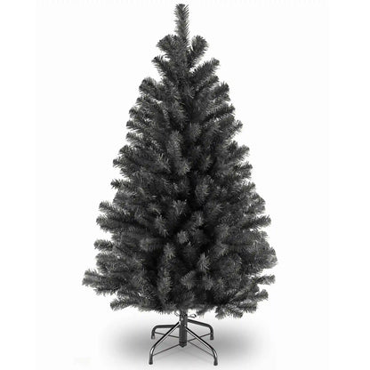 4.5 ft. North Valley Black Spruce Tree