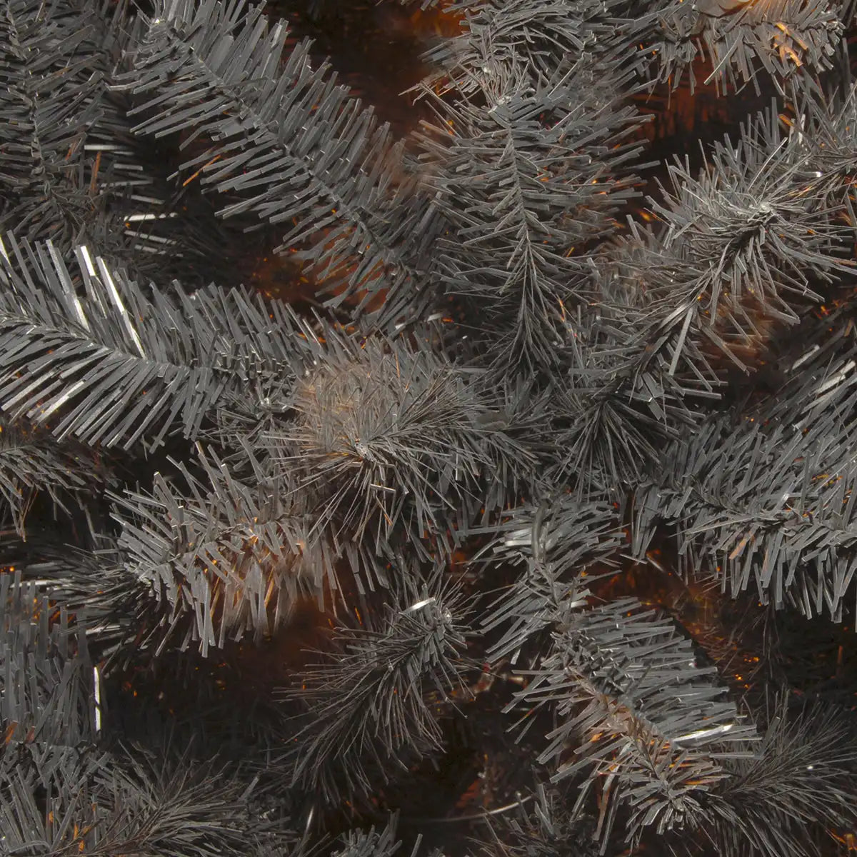 7.5 ft. North Valley Spruce Black Tree