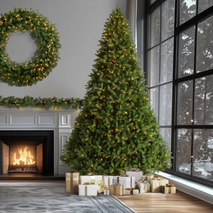 12 ft. Pre-Lit Downswept Douglas Fir Tree with Clear Lights, Plug-In