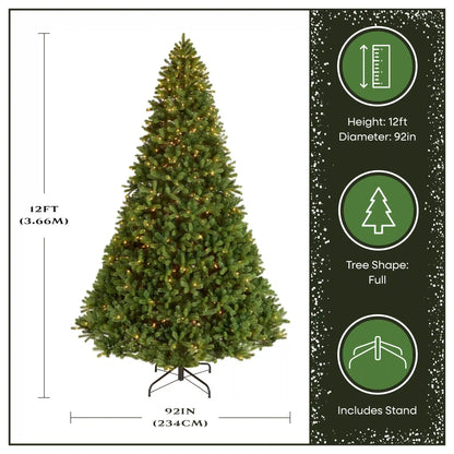 12 ft. Pre-Lit Downswept Douglas Fir Tree with Clear Lights, Plug-In