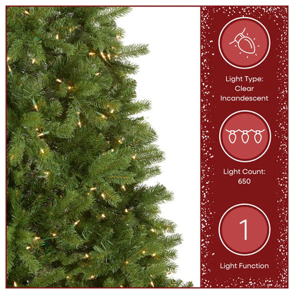 6.5 ft. Pre-Lit Downswept Douglas Fir Tree with Clear Lights