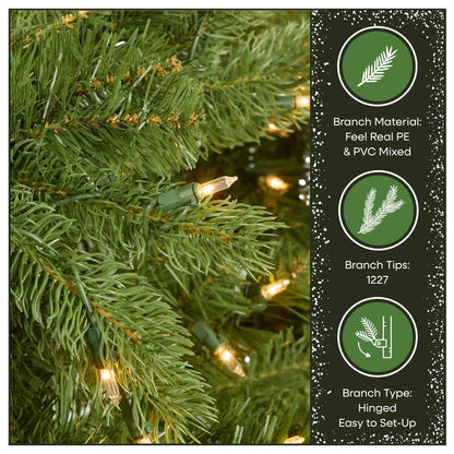 6.5 ft. Pre-Lit Downswept Douglas Fir Tree with Clear Lights