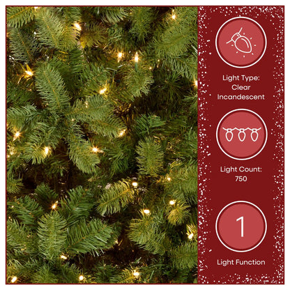 7.5 ft. Pre-Lit Downswept Douglas Fir Full Tree with 750 Clear Lights & 1867 Branch Tips
