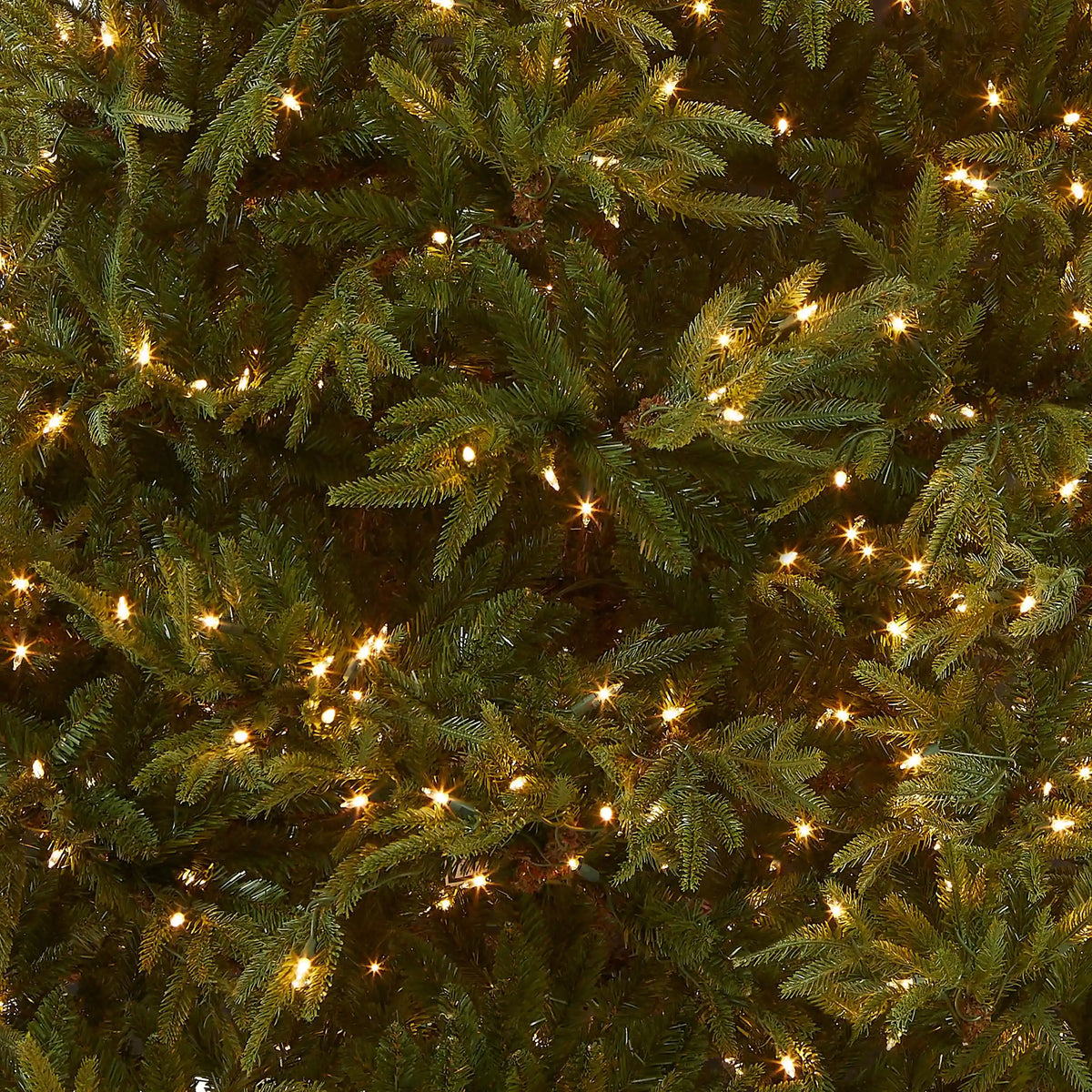 7.5 ft. Pre-Lit Fraser Grande Tree with Clear Lights, Plug-In