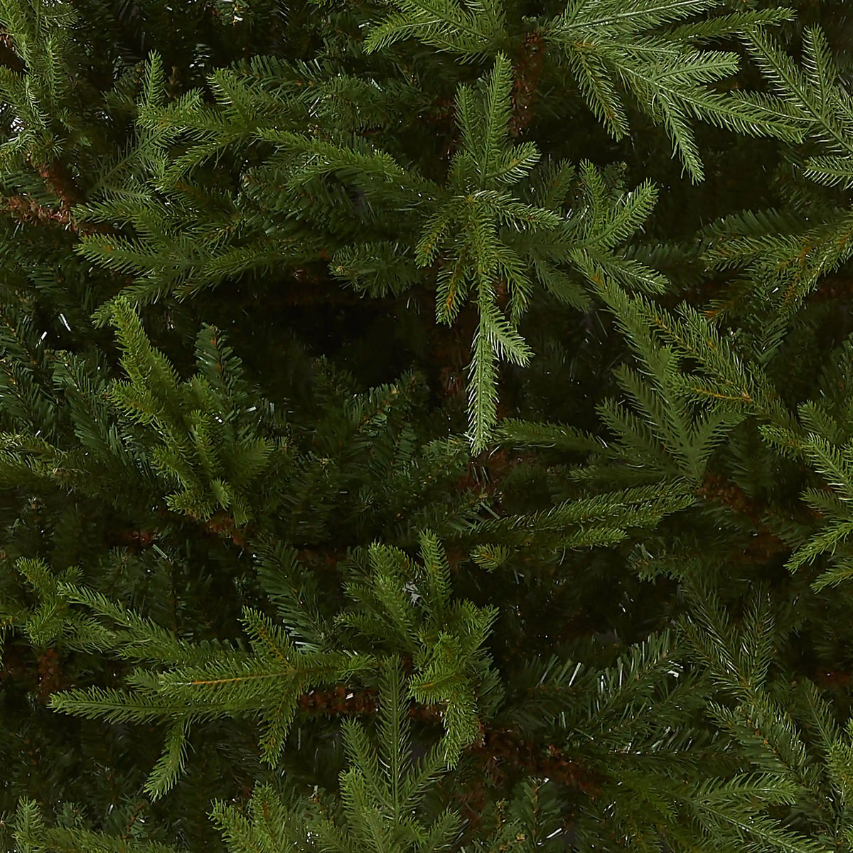 7.5 ft. Fraser Grande Tree