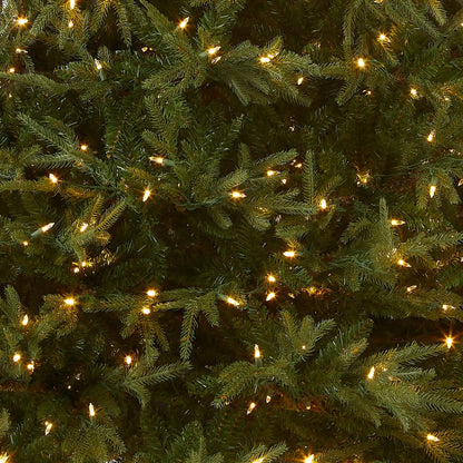 6.5 ft. Pre-Lit Fraser Grande Tree with Dual Color LED Lights, Plug-In