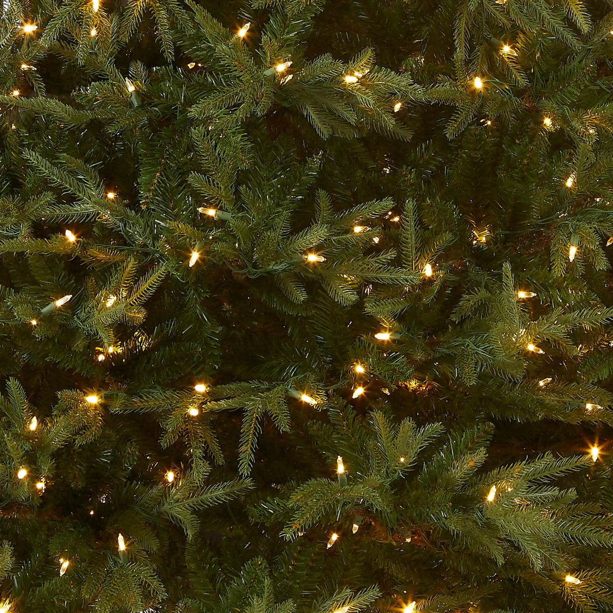 6 ft. Pre-Lit Fraser Grande with Dual Color LED Lights, Plug-In