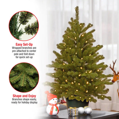 3 ft. Pre-Lit Hampton Spruce Tree with Clear Lights, Plug-In
