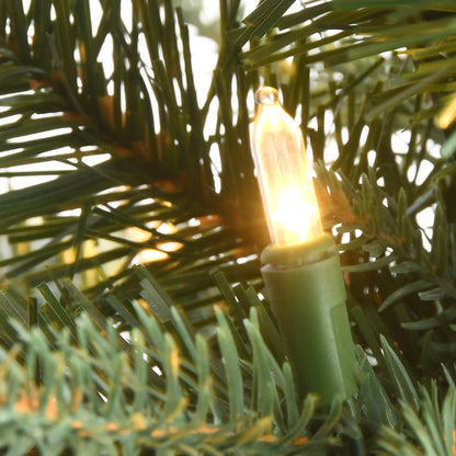 2 ft. Pre-Lit Happy Hill Pine Tree with LED Lights, Plug-In