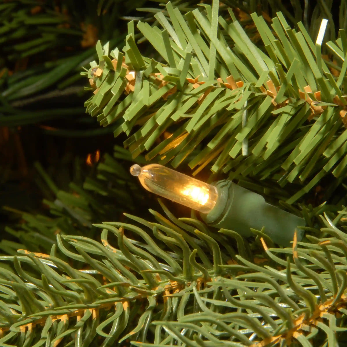 6.5 ft. Pre-Lit Jersey Fraser Fir Tree with Clear Lights, Plug-In