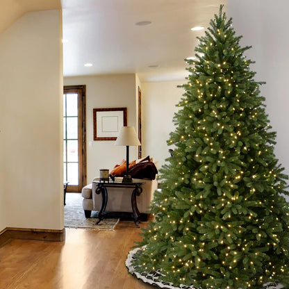 7.5 ft. Pre-Lit Jersey Fraser Fir Tree with Clear Lights, Plug-In