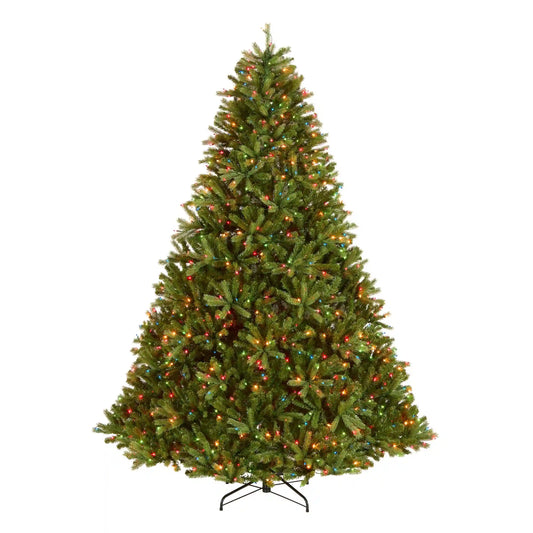 7.5 ft. Pre-Lit Jersey Fraser Fir Tree with Multicolor Lights