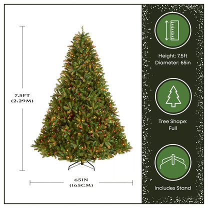 7.5 ft. Pre-Lit Jersey Fraser Fir Tree with Multicolor Lights