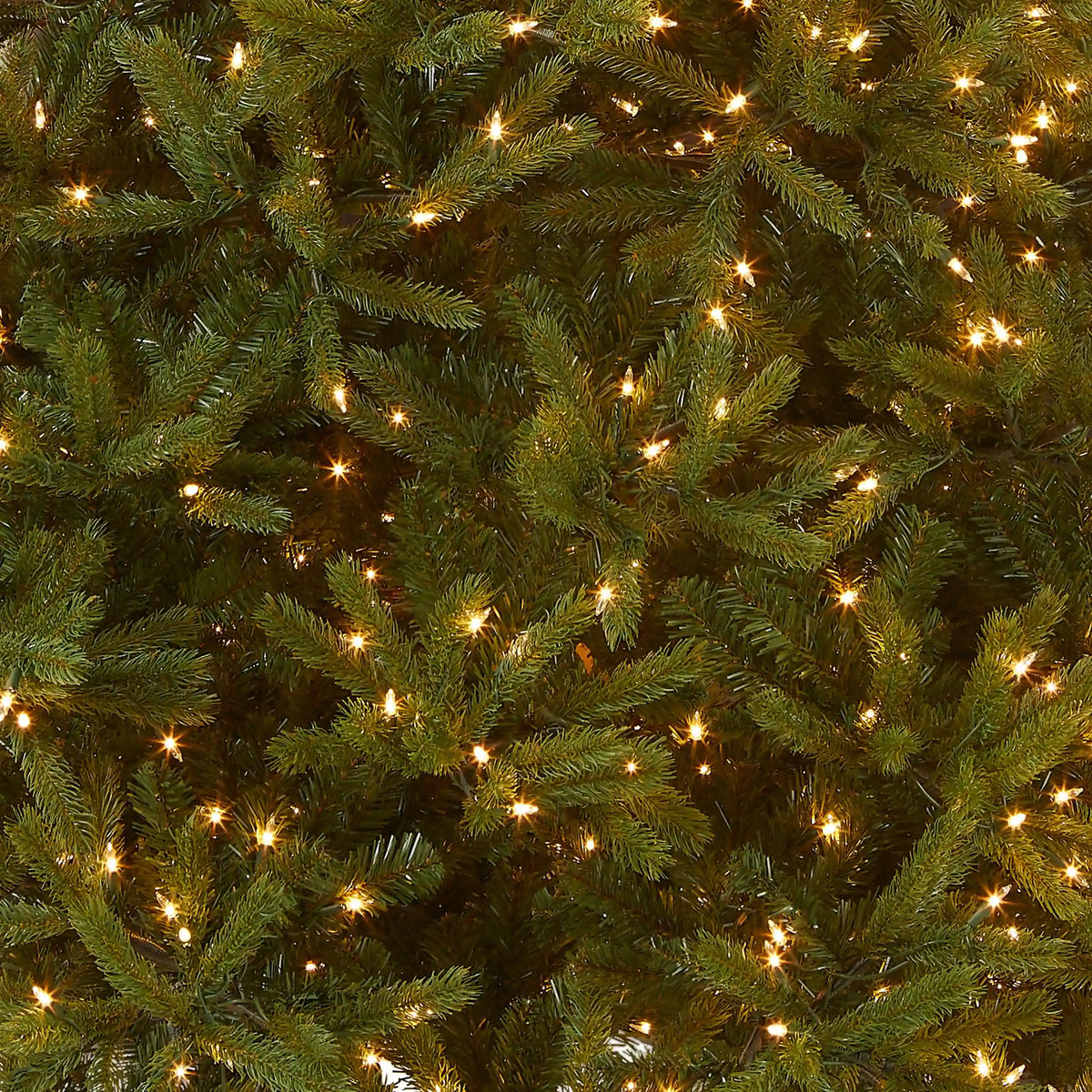 6.5 ft. Pre-Lit Jersey Fraser Fir Medium Tree with Clear Lights, Plug-In