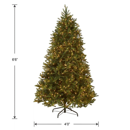 6.5 ft. Pre-Lit Jersey Fraser Fir Medium Tree with Clear Lights, Plug-In