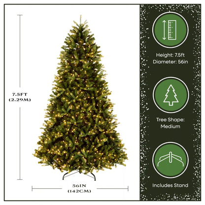 7.5 ft. Pre-Lit Jersey Fraser Fir Medium Tree with Clear Lights