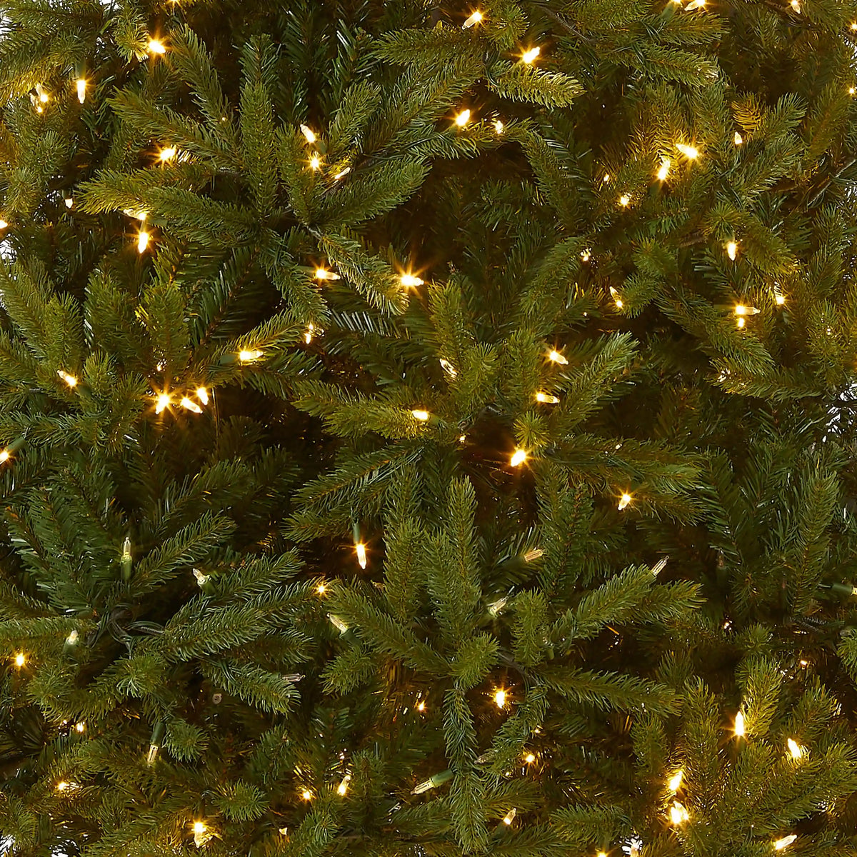 6.5 ft. Pre-Lit Jersey Fraser Fir Medium Tree with Dual Color LED Lights, Plug-In