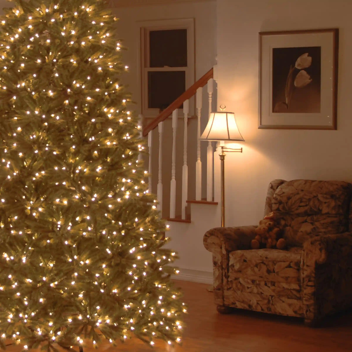 7.5 ft. Pre-Lit Jersey Fraser Fir Medium Tree with Dual Color LED Lights, Plug-In