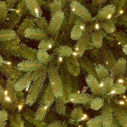6.5 ft. Pre-Lit Jersey Fraser Fir Pencil Slim Tree with Clear Lights, Plug-In