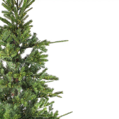 9 ft. Pre-Lit Lark Pine Medium Tree with Warm White LED Rice Lights