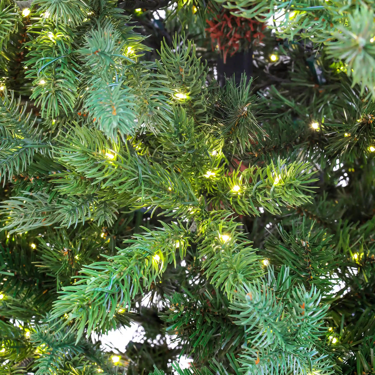 9 ft. Pre-Lit Lark Pine Medium Tree with Warm White LED Rice Lights