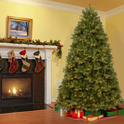 6 ft. Pre-Lit Newberry Spruce Tree with Clear Lights, Plug-In