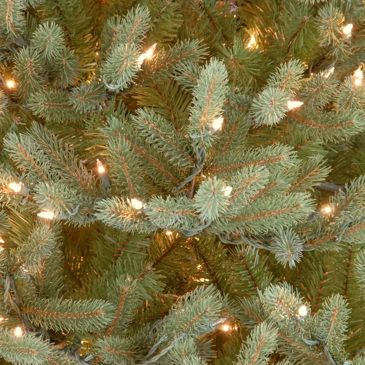 6.5 ft. Pre-Lit Norway Spruce Tree with Clear Lights, Plug-In