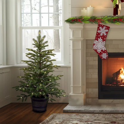 4 ft. Norwegian Spruce Entrance Tree with Clear Lights, Plug-In