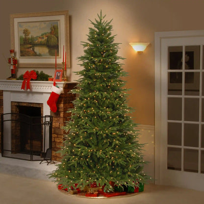 9 ft. Pre-Lit Northern Fraser Fir Tree with Clear Lights