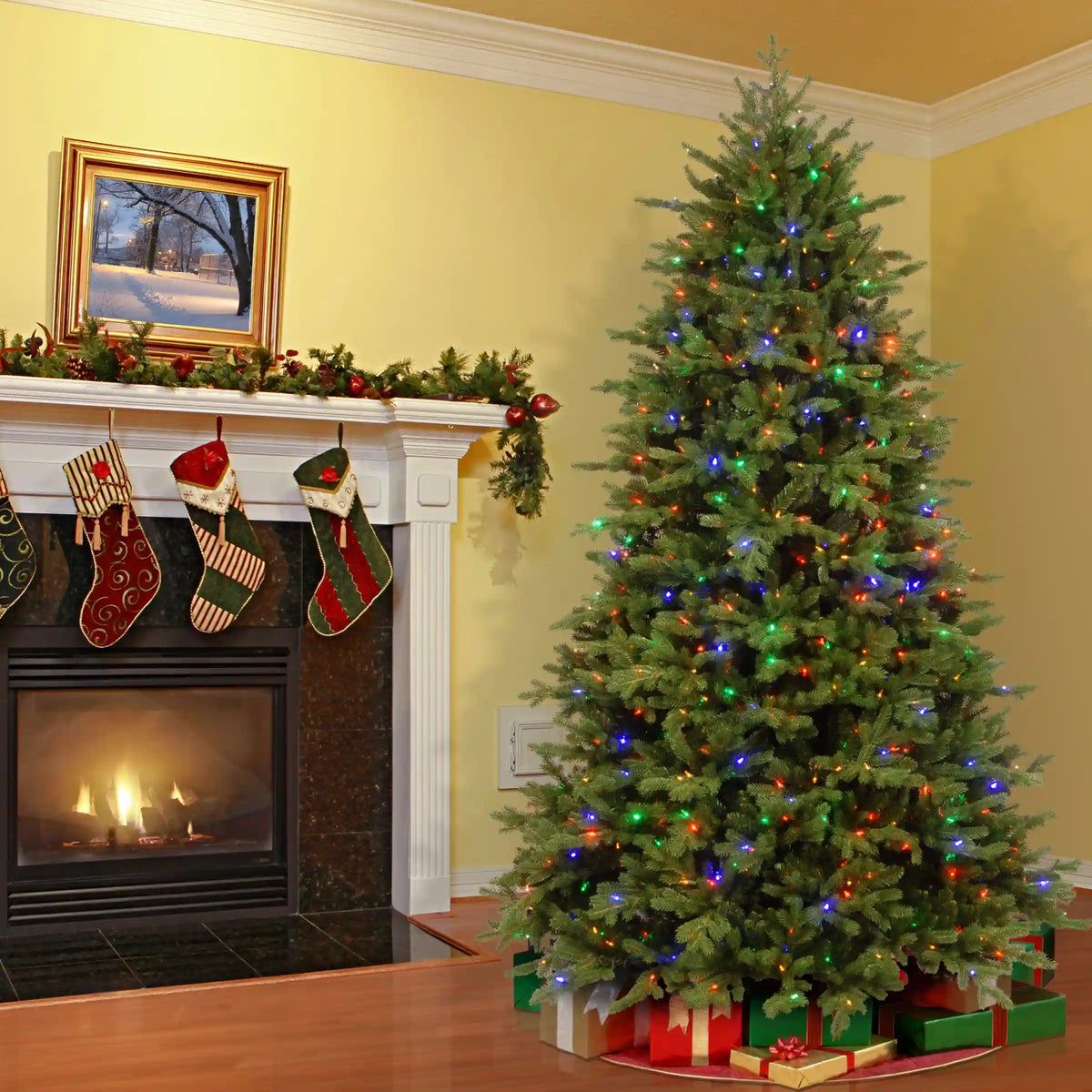 9 ft. Pre-Lit Princeton Fraser Fir with PowerConnect Dual Color LED Lights, Plug-In