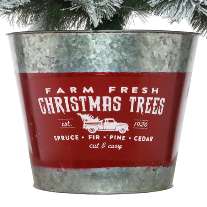 5 ft. Pre-Lit Snowy Pogue Pine Slim Tree with LED Lights, Plug-In
