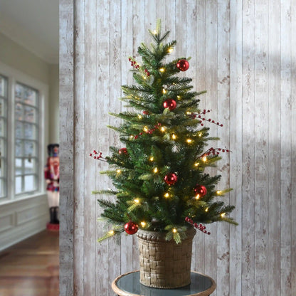 4 ft. Pre-Lit Scotch Creek Fir Tree with LED Lights, Plug-In
