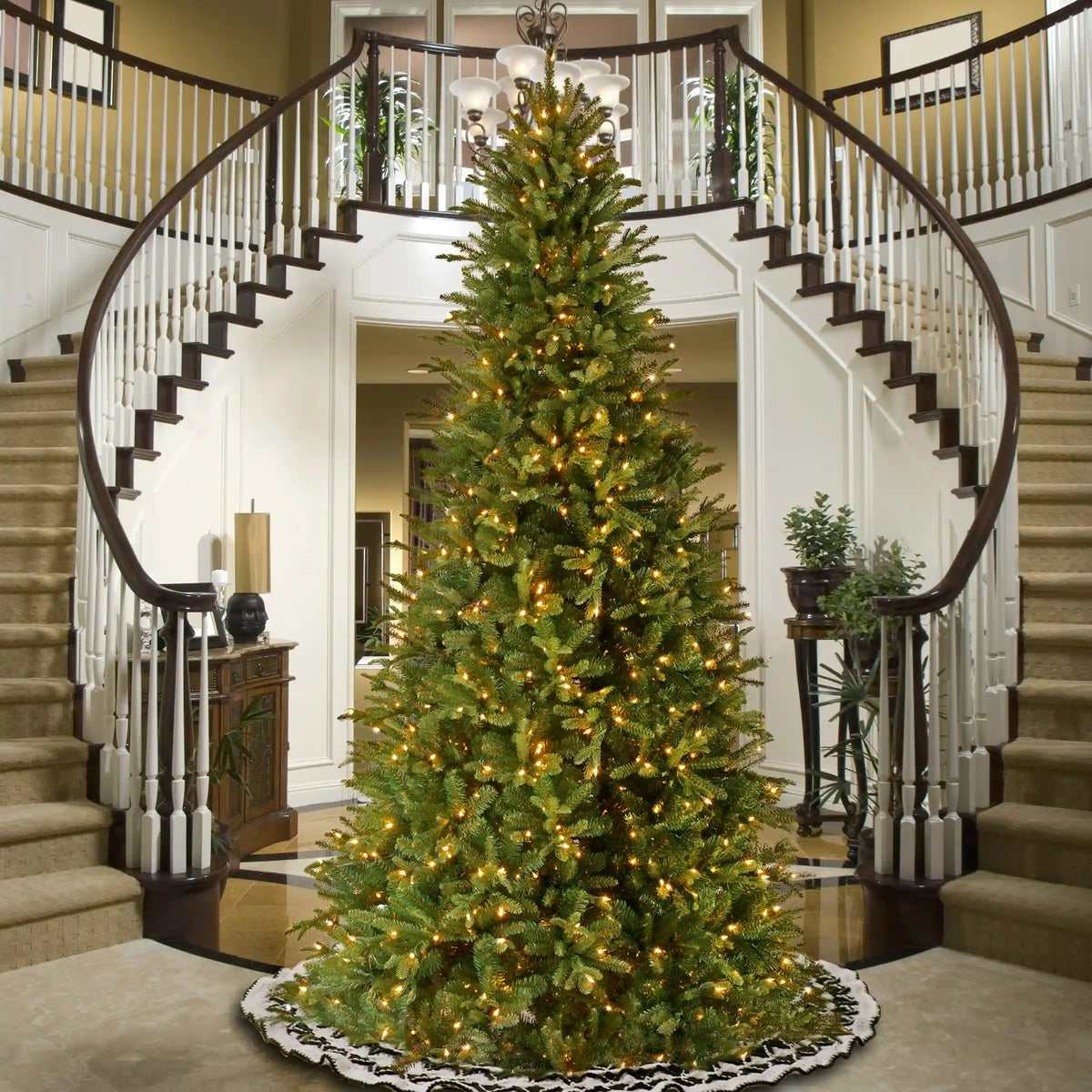 12 ft. Pre-Lit Tiffany Fir Slim Tree with Clear Lights, Plug-In