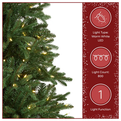 9 ft. Pre-Lit Winslow Fir Tree with Warm White LED Lights