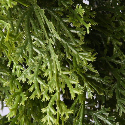 24 in. Arborvitae Wreath