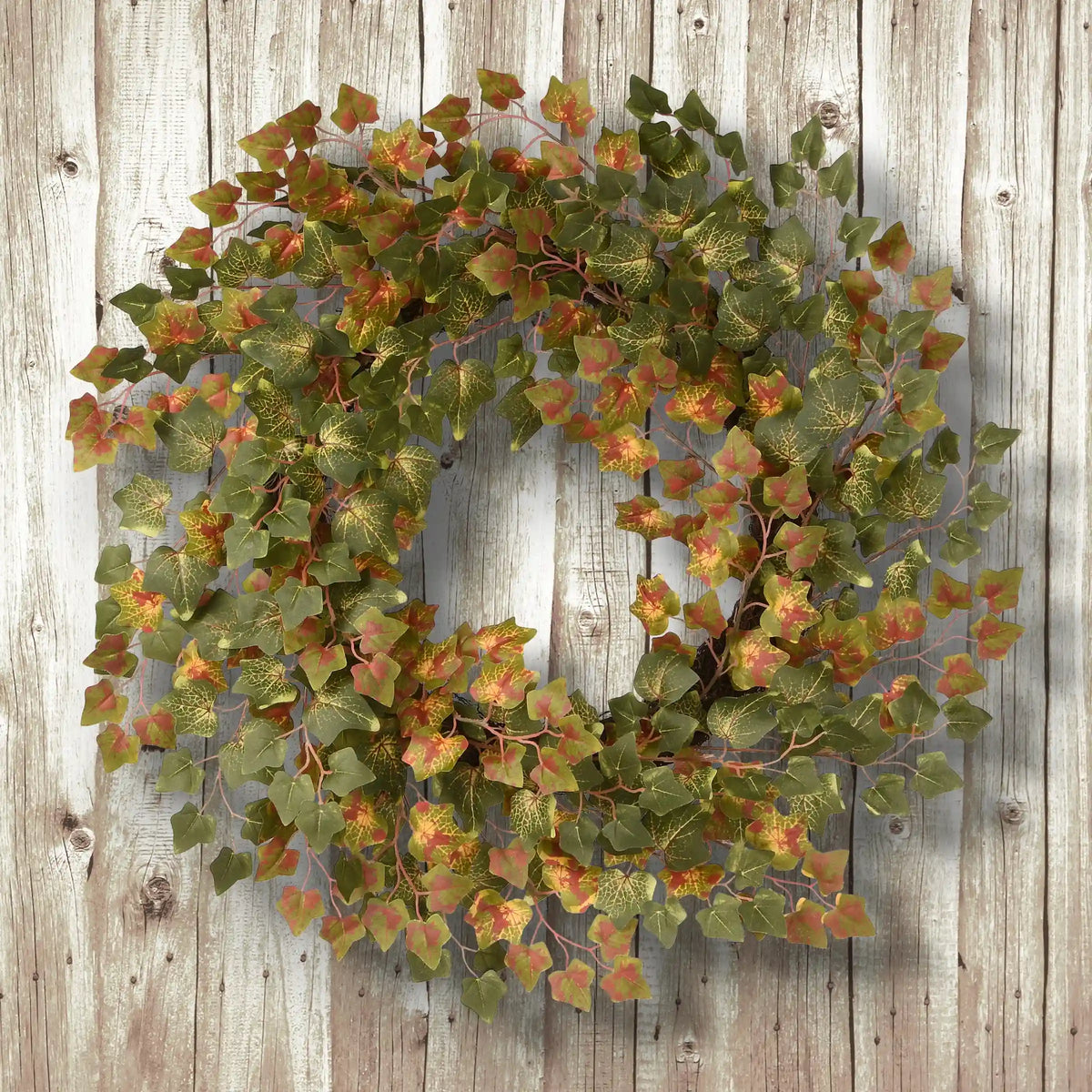 24 in. Fall Wreath with Ivy