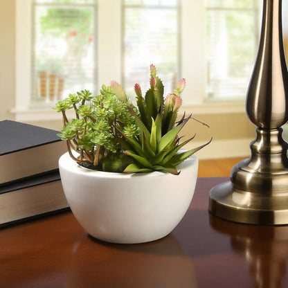 8 in. Spring Potted Plant with Various Green Succulents in a Stylish White Ceramic Base