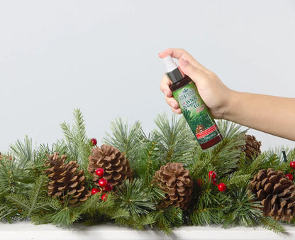 Scentsicles 6pc Stick and Spray White Winter Fir - 2 Pack