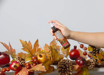 Scentsicles 6pc Stick and Spray Spiced Pine Cones - 2 Pack
