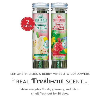 Scentsicles, 6pc Stick, 1 Lemon 'n Lilies/ 1 Berryvines & Wildflowers-  2 pack