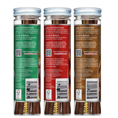 Scentsicles, 6pc Stick, 1 Autumn 'n Apples/ 1 Pumpkin 'n Cider/ 1 Two Dashes of Cinnamon 3 pack