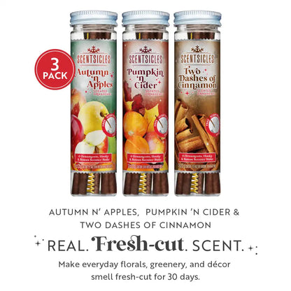 Scentsicles, 6pc Stick, 1 Autumn 'n Apples/ 1 Pumpkin 'n Cider/ 1 Two Dashes of Cinnamon 3 pack